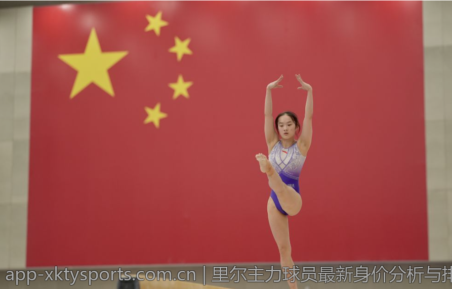 里尔主力球员最新身价分析与排名